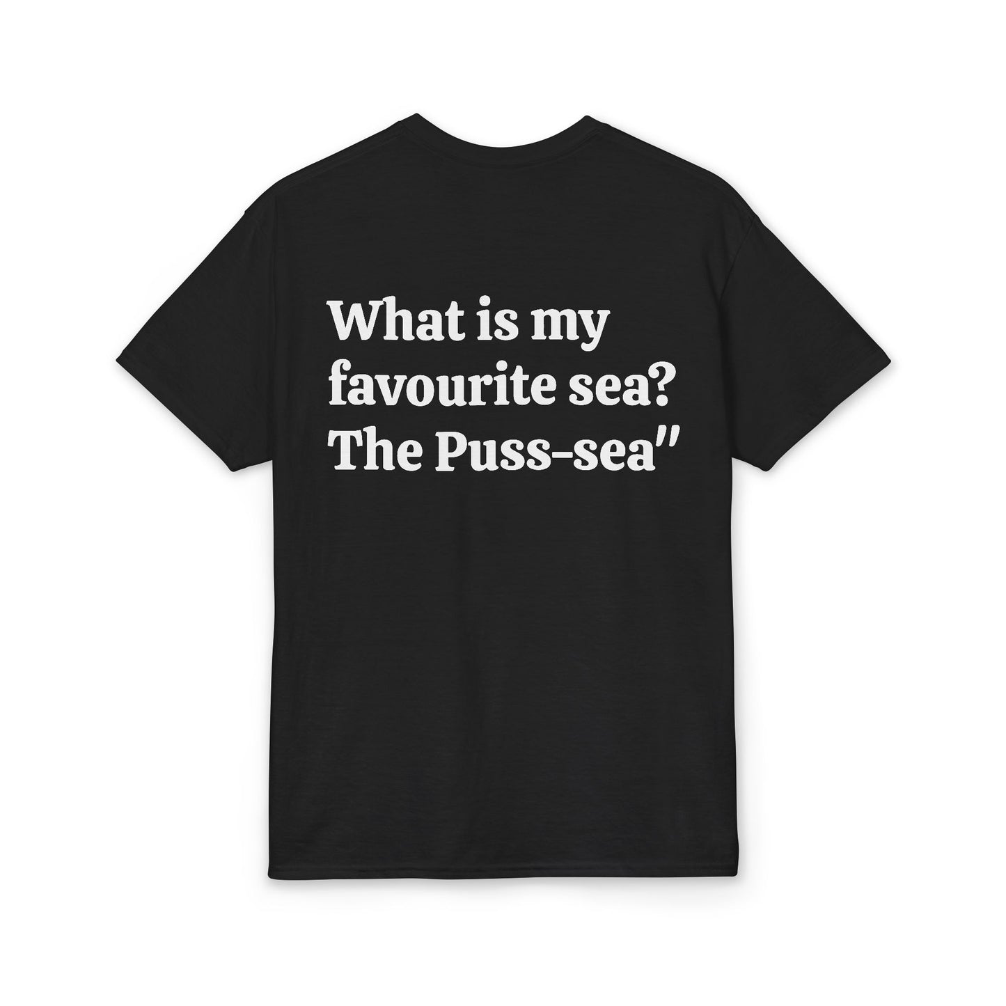 What is my favourite sea? The Puss-sea